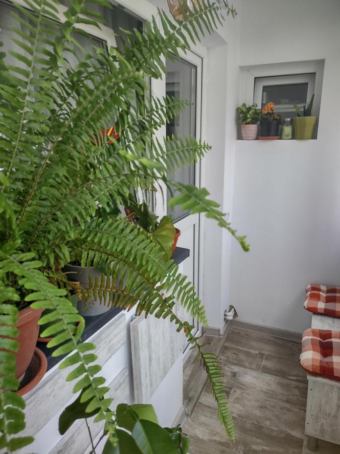 Apartament Piteşti Exteriér fotografie